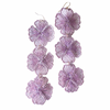 ORCHID DROPS